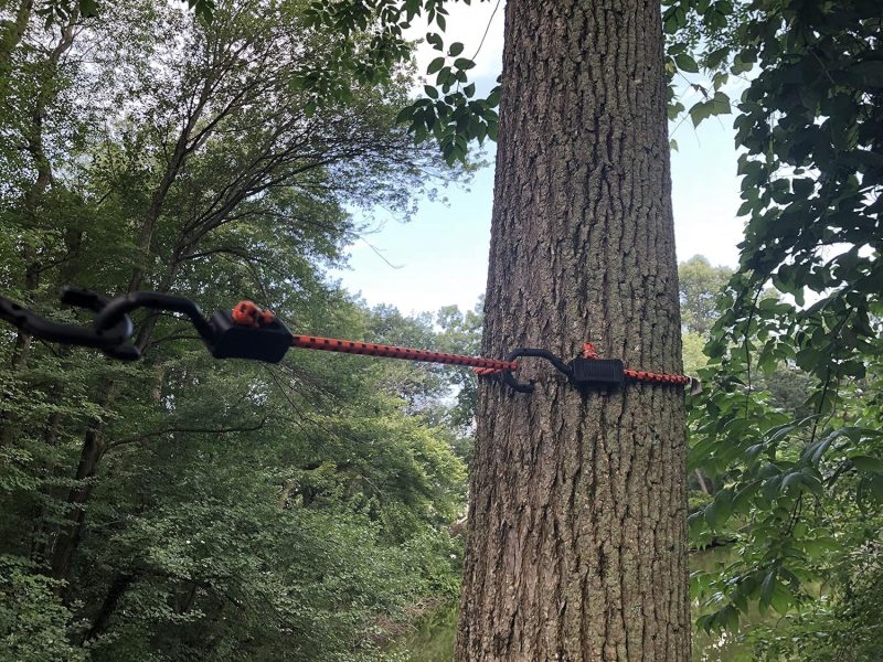 Adjustable Bungee Cord - Image 2